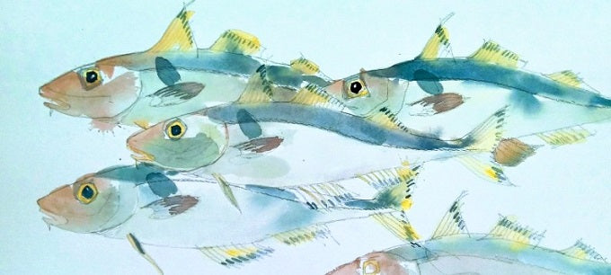 Image of Shoal of Haddock by Barbara Allen RUA