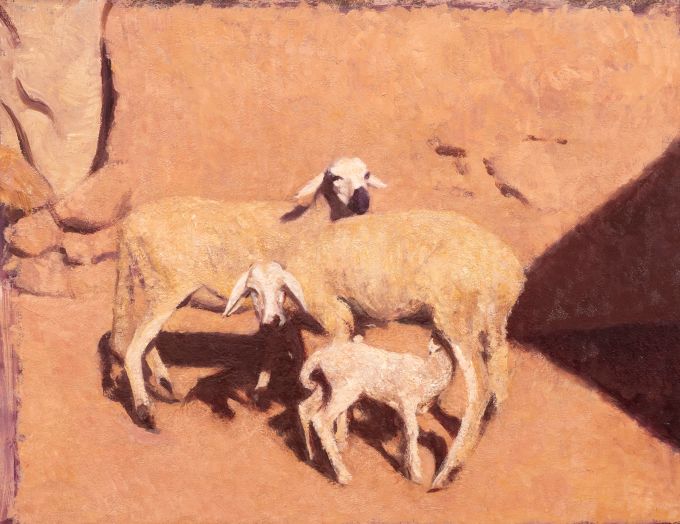 Image of Sheep by Colin Watson RUA