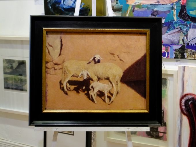 Sheep