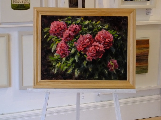 Image of Pink Petunias by Matthew Smyth 