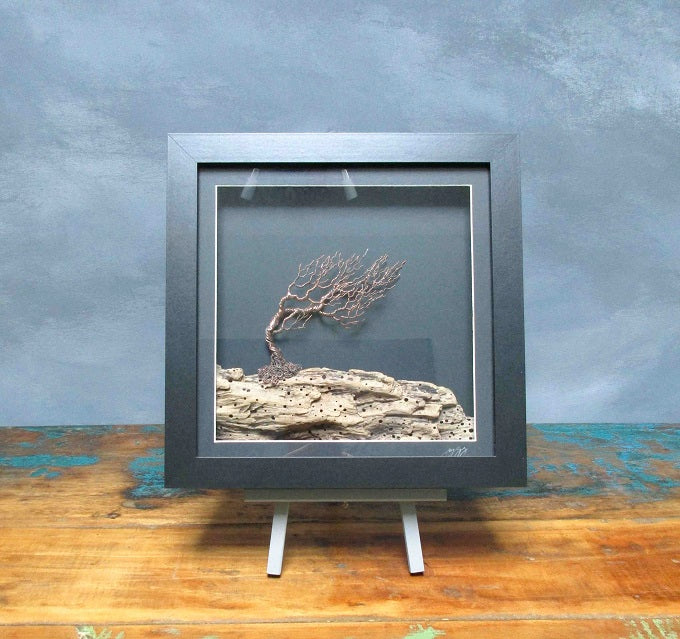 Image of Formed by the Wind II by Joy Gray