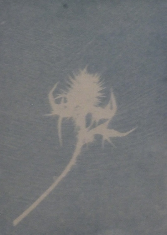 Image of Thistles spike the summer air (Unnamed - Cycle of violence Series) by Peter Richards
