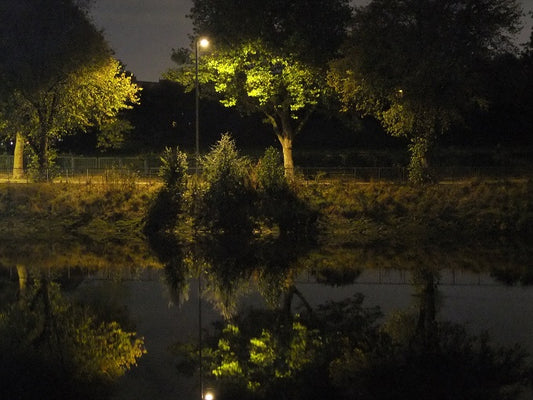 Image of Reflections on a Night (No. 2 of 50) by Ann and Ken Bartley