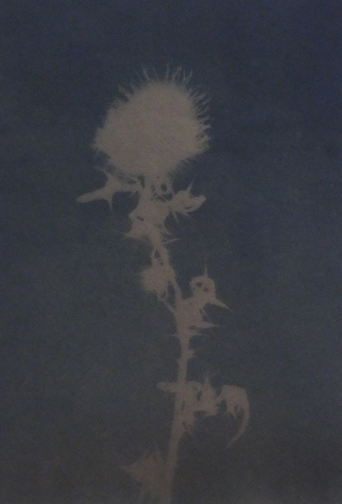 Image of Against the rubber tongues of cows and the hoeing hands of men (Unnamed - Cycle of violence Series) by Peter Richards