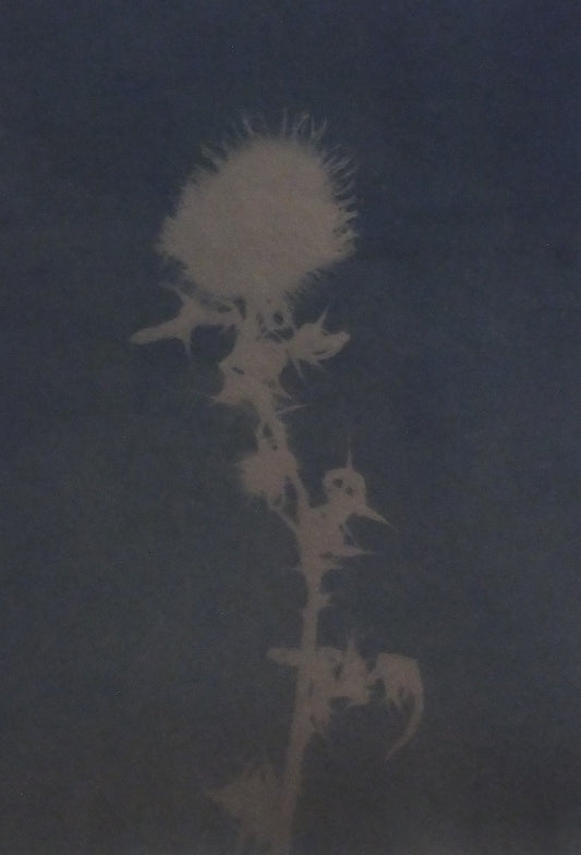 Image of Against the rubber tongues of cows and the hoeing hands of men (Unnamed - Cycle of violence Series) by Peter Richards