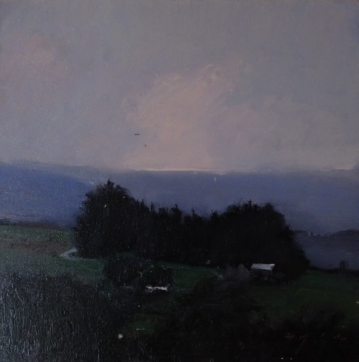 Image of Under a Velvet Sky by Frank Eyre