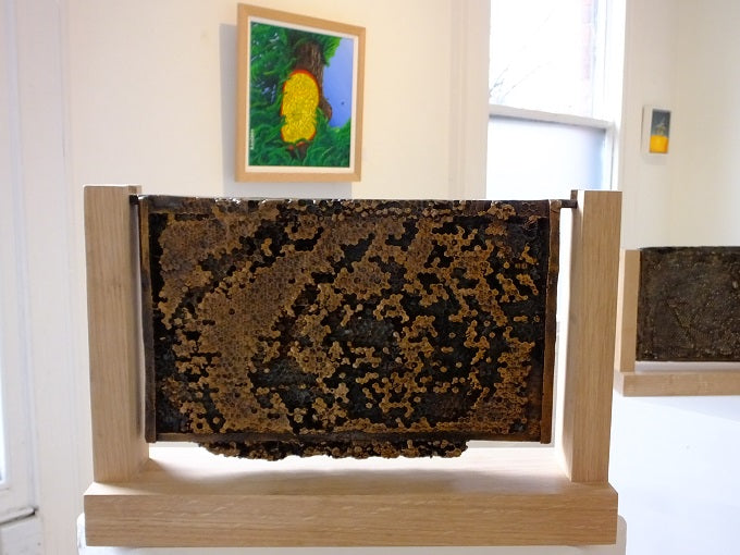 The Brood Frame