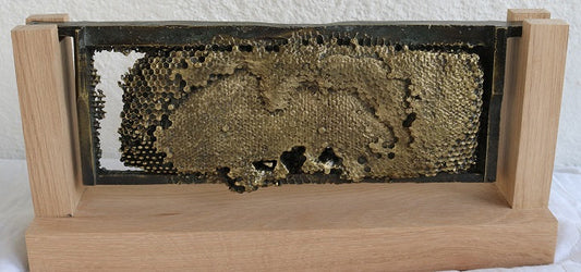 Image of The Super Frame by Raymond Watson