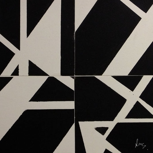 Image of A Flag Dissected by Sam McCready