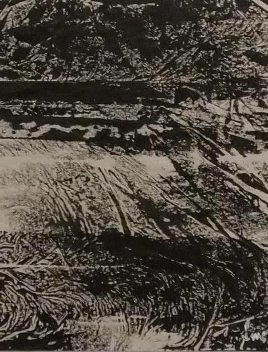 Image of The Wind that Shakes the Barley by Sam McCready