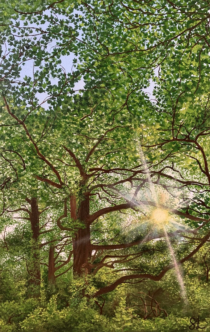 Image of Happily Ever After by Stephanie Lindsay