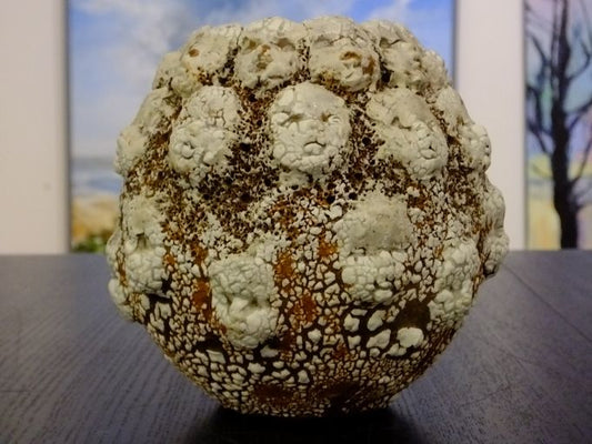 Image of Congregation Bowl by Anna Donovan 
