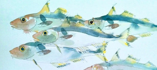 Image of Shoal of Haddock by Barbara Allen RUA