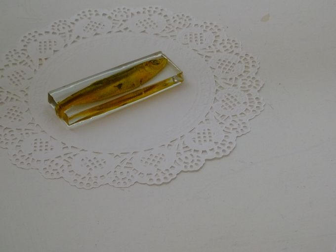 Bullet