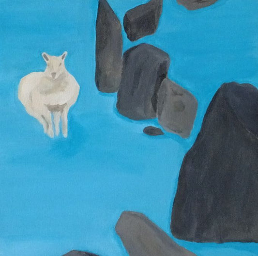 Image of Lone Sheep at Ballynoe by Gail Kennedy 