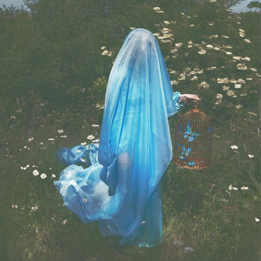 Image of Scim by Julie Corcoran 