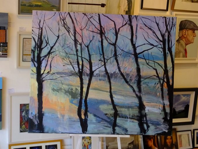 Winter Light Through the Trees