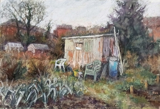 Image of Bottom of the Allotment by Sean McGibbon 