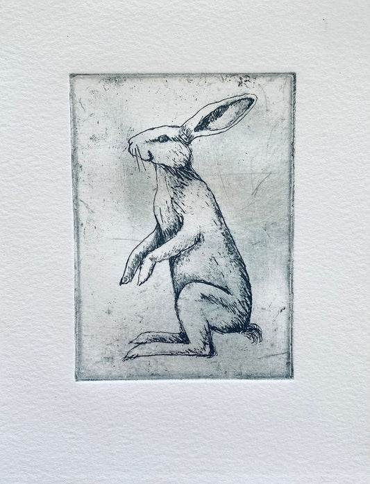 Image of Lab Rabbit by Tracy McCoey 