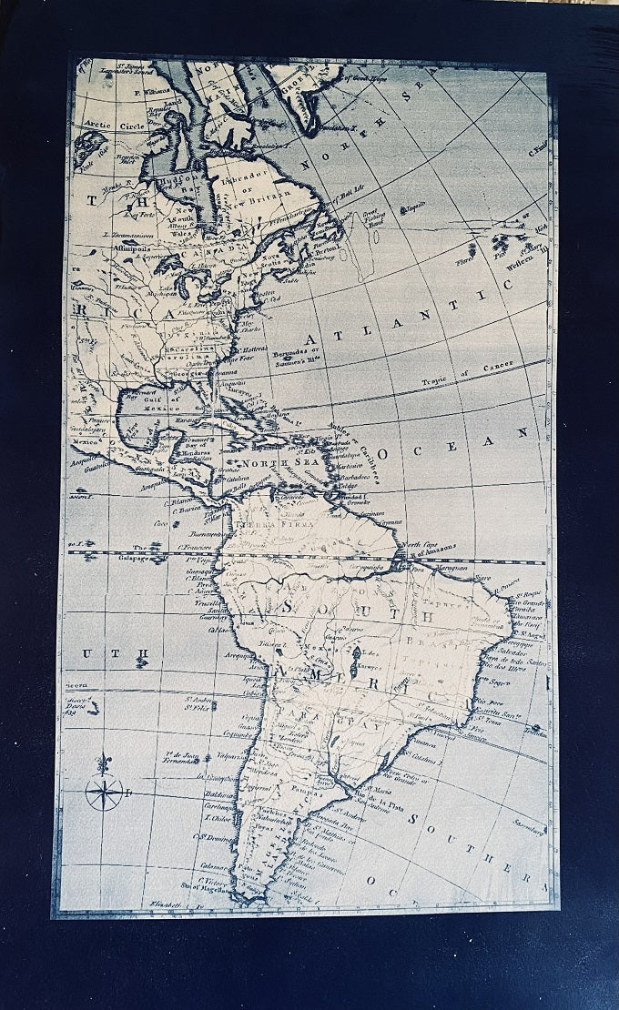 Image of Migration Route of Red Knot by Tracy McCoey 