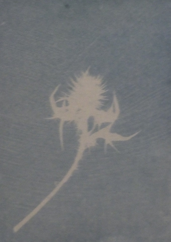 Image of Thistles spike the summer air (Unnamed - Cycle of violence Series) by Peter Richards 