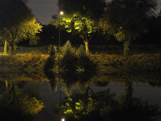 Image of Reflections on a Night (No. 2 of 50) by Ann and Ken Bartley 