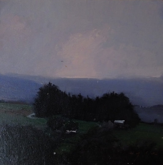 Image of Under a Velvet Sky by Frank Eyre