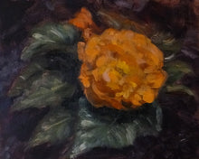 Load image into Gallery viewer, Image of Begonia by Matthew Smyth 
