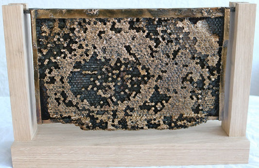 Image of The Brood Frame by Raymond Watson