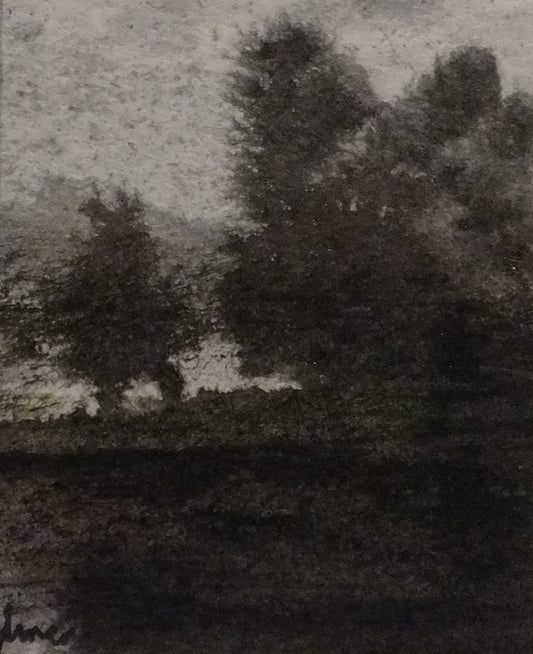 Image of Tall Trees by Sam McCready