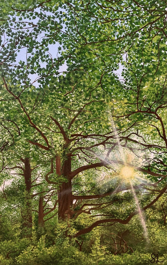 Image of Happily Ever After by Stephanie Lindsay