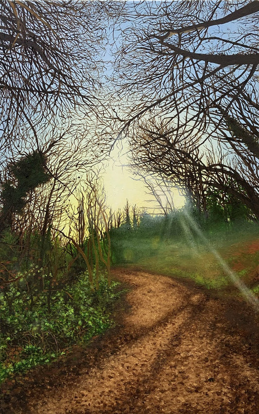 Image of The Name of the Wind by Stephanie Lindsay