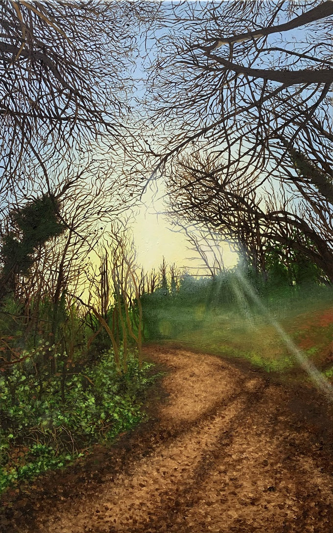 Image of The Name of the Wind by Stephanie Lindsay 